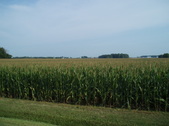 Enlarge photo 105