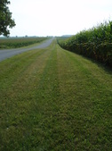 Enlarge photo 106
