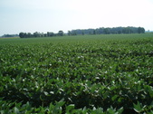 Enlarge photo 108