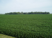 Enlarge photo 109