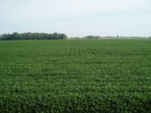 Enlarge photo 110