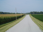 Enlarge photo 111