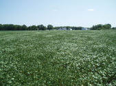 Enlarge photo 115