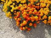 Enlarge photo 119