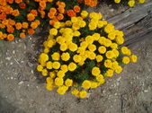 Enlarge photo 120