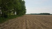 Enlarge photo 118