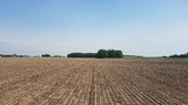 Enlarge photo 120