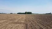 Enlarge photo 121