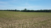 Enlarge photo 122