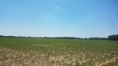 Enlarge photo 124