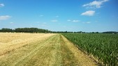 Enlarge photo 125