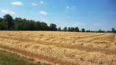 Enlarge photo 126