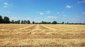 Enlarge photo 127