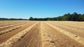Enlarge photo 129