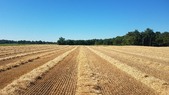 Enlarge photo 128