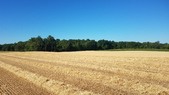 Enlarge photo 131