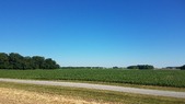 Enlarge photo 130