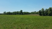 Enlarge photo 132