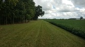 Enlarge photo 29