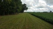 Enlarge photo 133