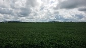 Enlarge photo 134