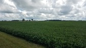 Enlarge photo 135