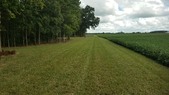 Enlarge photo 30