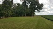 Enlarge photo 136