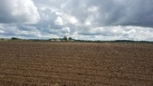 Enlarge photo 138