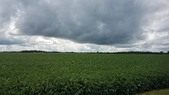 Enlarge photo 137
