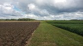 Enlarge photo 139