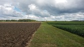 Enlarge photo 33