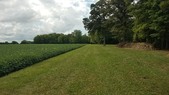 Enlarge photo 140