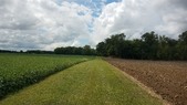 Enlarge photo 34