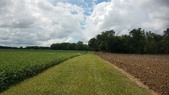 Enlarge photo 141