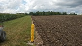 Enlarge photo 142