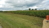 Enlarge photo 143