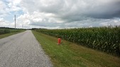 Enlarge photo 144
