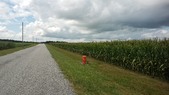 Enlarge photo 37