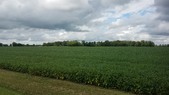 Enlarge photo 146