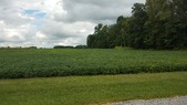 Enlarge photo 147