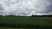 Enlarge photo 39