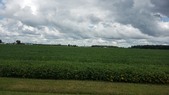 Enlarge photo 148