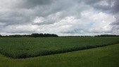 Enlarge photo 150
