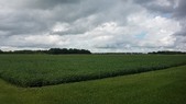 Enlarge photo 40