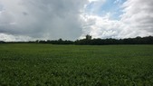 Enlarge photo 151