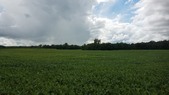Enlarge photo 41