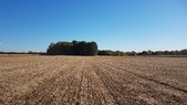 Enlarge photo 46