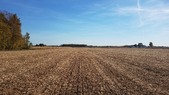 Enlarge photo 49