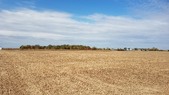 Enlarge photo 54